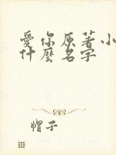 爱你原著小说叫什么名字