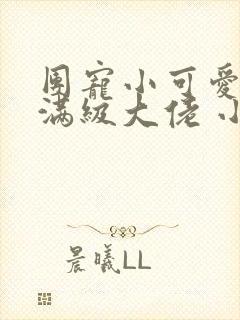 团宠小可爱成了满级大佬 小说