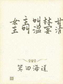 女主叫林甘棠男主叫温宴清的小说