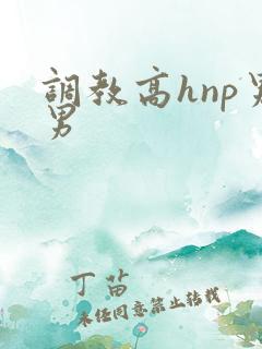 调教高hnp男男