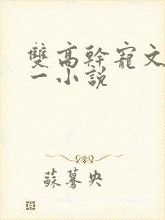 双高干宠文一对一小说