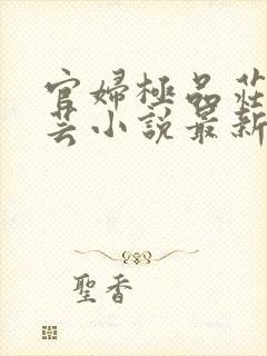 官妇极品庄严赵芸小说最新更新内容