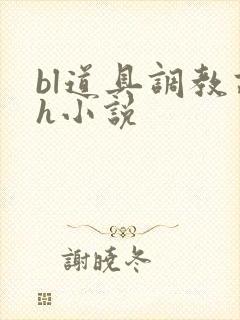 bl道具调教高h小说