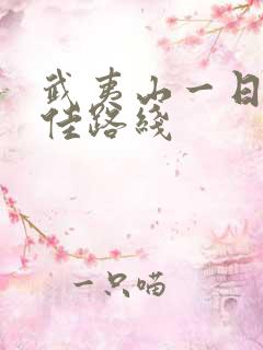 武夷山一日游最佳路线