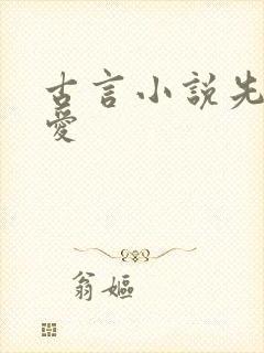古言小说先婚后爱