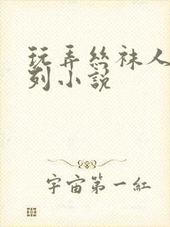 玩弄丝袜人妻系列小说