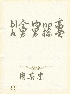bl全肉np高h男男总受