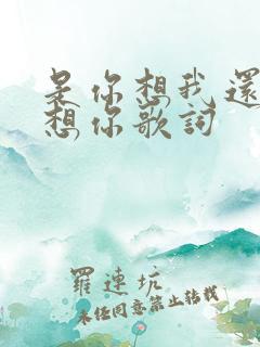 是你想我还是我想你歌词