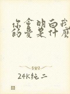 你会明白我给你的爱是什么歌