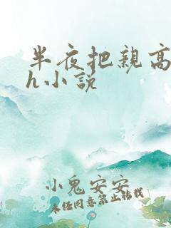半夜把亲高潮了h小说