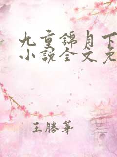 九重锦月下晚风小说全文免费阅读