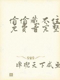 偷偷藏不住漫画免费看完整版