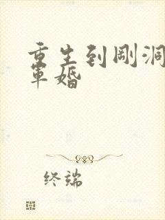 重生到刚洞房的军婚