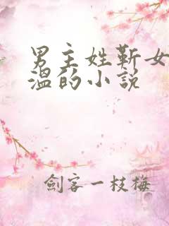 男主姓靳女主姓温的小说