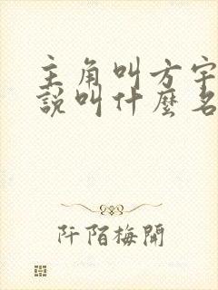 主角叫方宇的小说叫什么名字