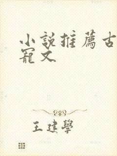 小说推荐古言甜宠文