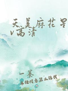 天美麻花星空mv高清