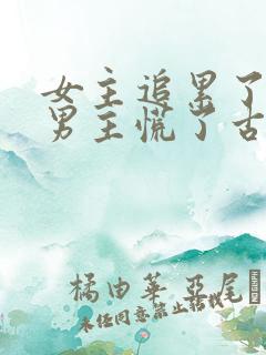 女主追累了放弃男主慌了古言