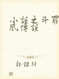 小说之斗罗之龙凰传说