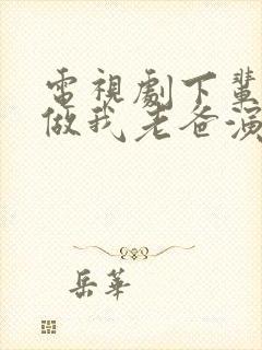 电视剧下辈子还做我老爸演员表