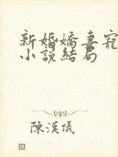 新婚娇妻宠上瘾小说结局