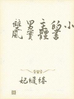 双男主的小说古风实体书