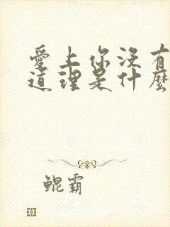 爱上你没有什么道理是什么歌