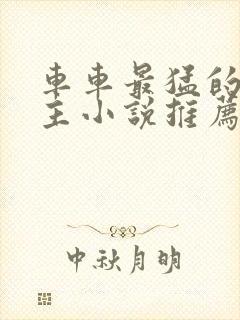 车车最猛的双男主小说推荐