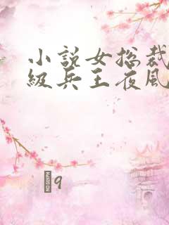 小说女总裁的超级兵王夜风武