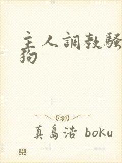 主人调教骚货母狗