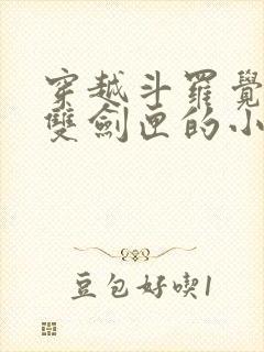 穿越斗罗觉醒无双剑匣的小说