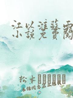 江以淮苏雨眠的小说免费阅读全文