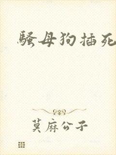 骚母狗插死你