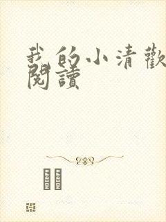 我的小清欢免费阅读