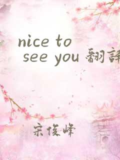 nice to see you 翻译中文