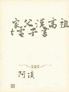 家父汉高祖txt电子书