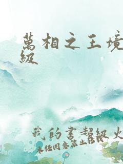 万相之王境界等级