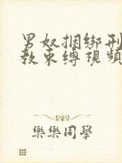 男奴捆绑刑具调教束缚视频