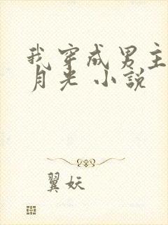 我穿成男主的白月光 小说