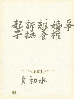 起诉离婚争夺孩子抚养权