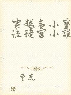 穿越韦小宝之风流后宫小说