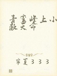 青鸾峰上小说无敌天命