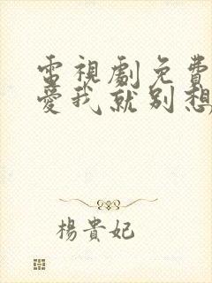 电视剧免费观看爱我就别想太多