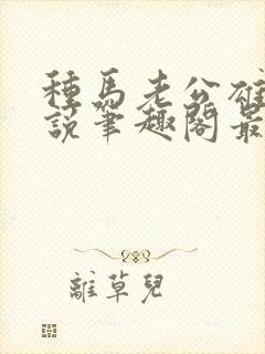 种马老公雄堕小说笔趣阁最新章节