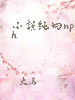 小说纯肉np高h