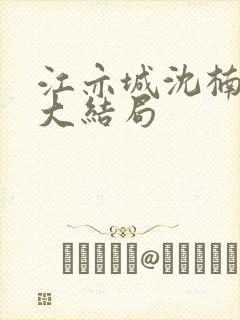 江亦城沈楠小说大结局