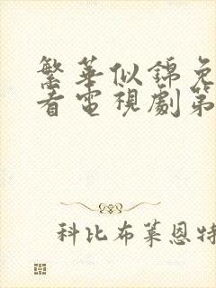 繁华似锦免费观看电视剧第十二集