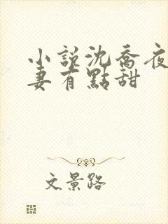 小说沈乔夜少娇妻有点甜