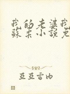 我的老婆我的妻苏柔小说免费阅读