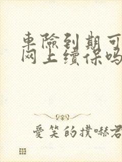 车险到期可以在网上续保吗